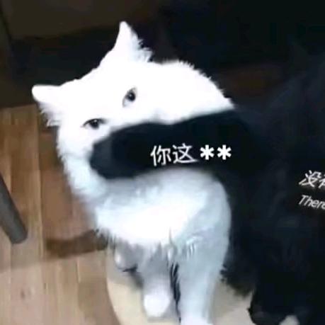 风听过