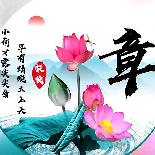 不忘初心一切随缘