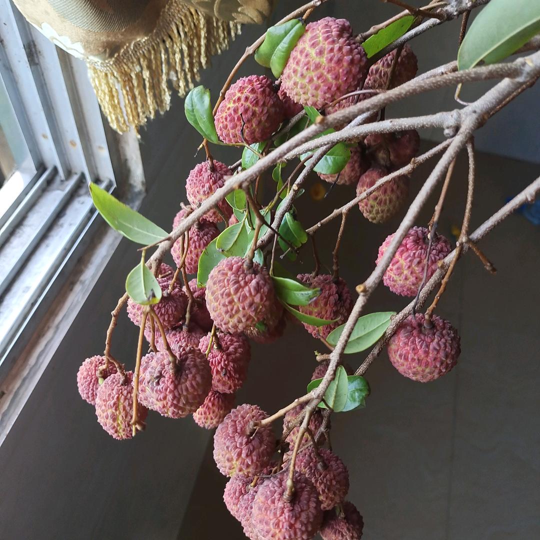 水森森