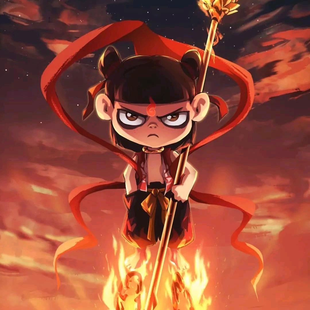 猫猫狗狗的粮食