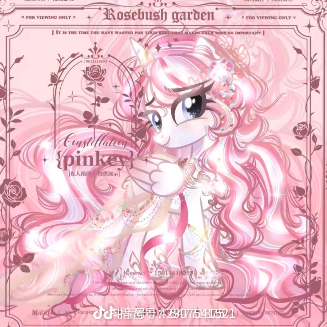 小马宝莉（真爱粉）