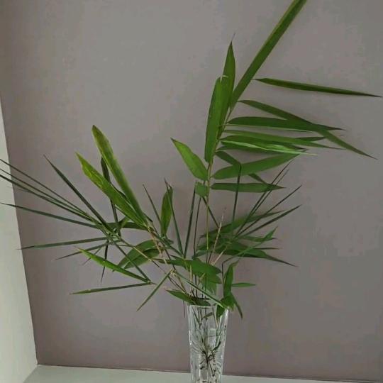 成都铝单板复合板厂
