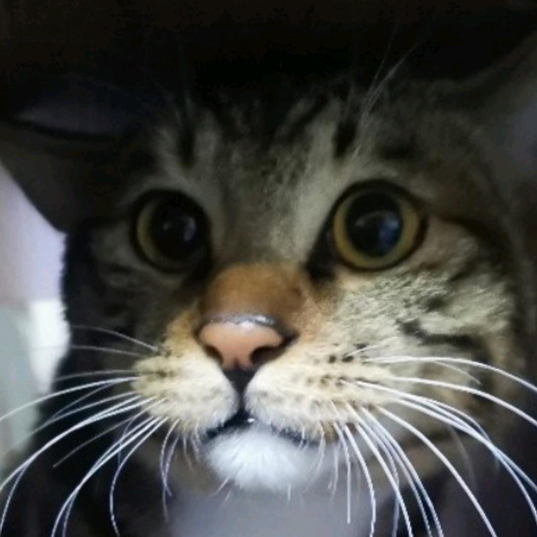 公寓最种张益达