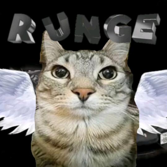 RunGep