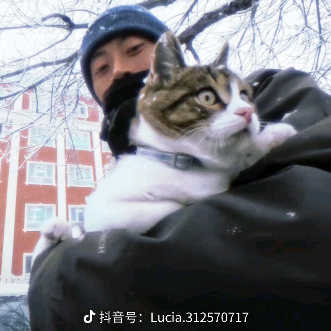 春和景明 波澜不惊