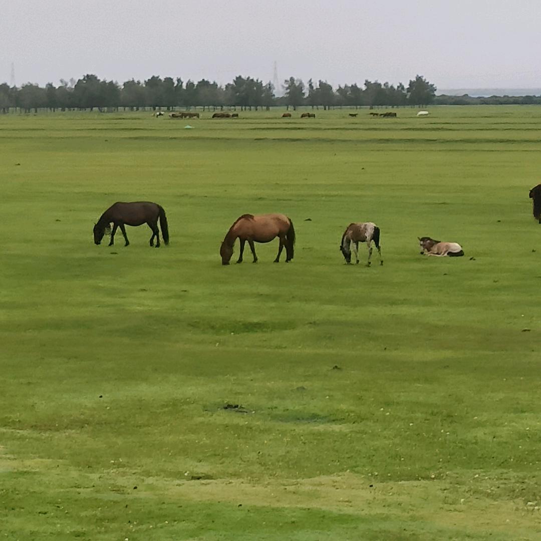 你说好玩不好玩