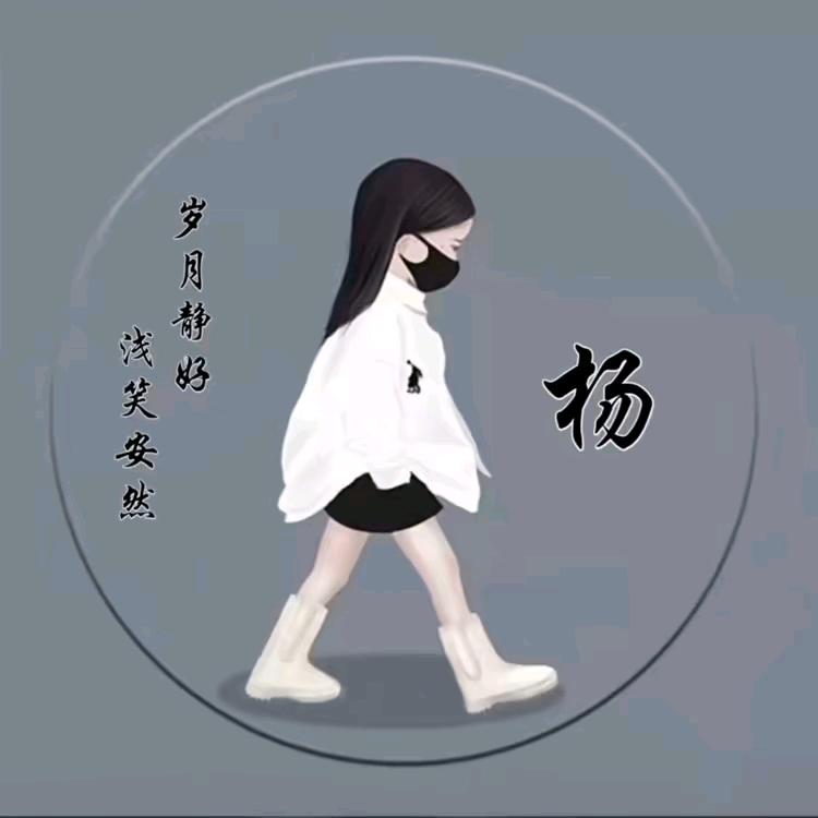 宝马-杨飞