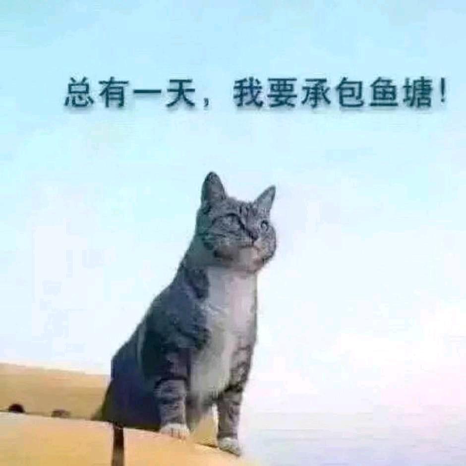 留恋过去
