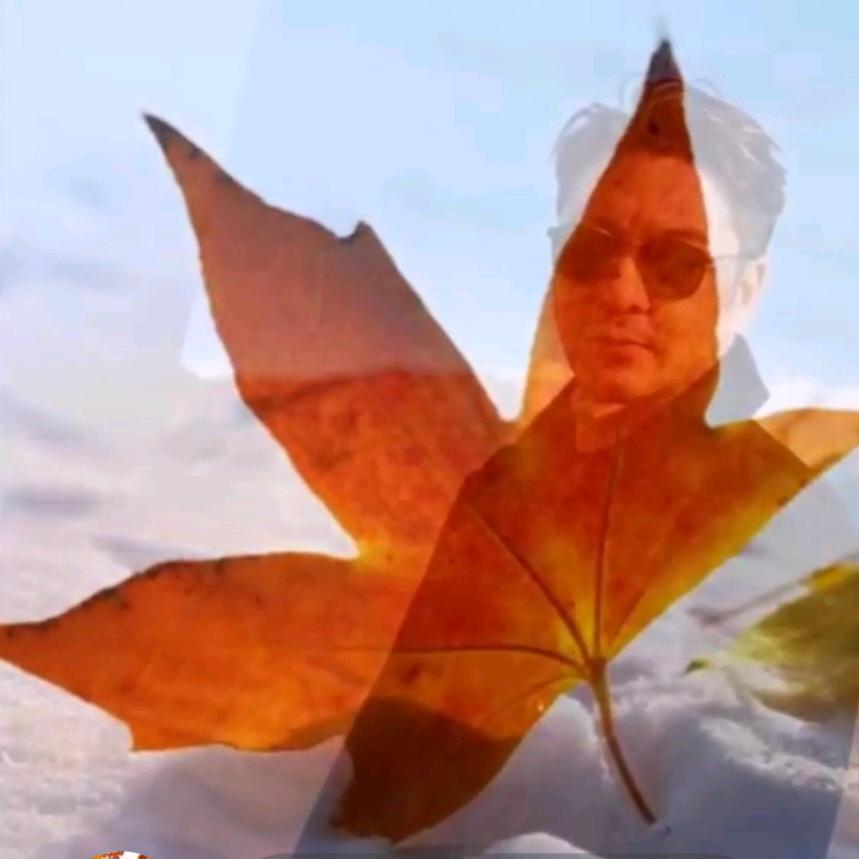 一片枫叶🍁