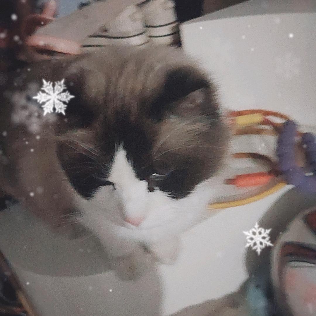 黑客
