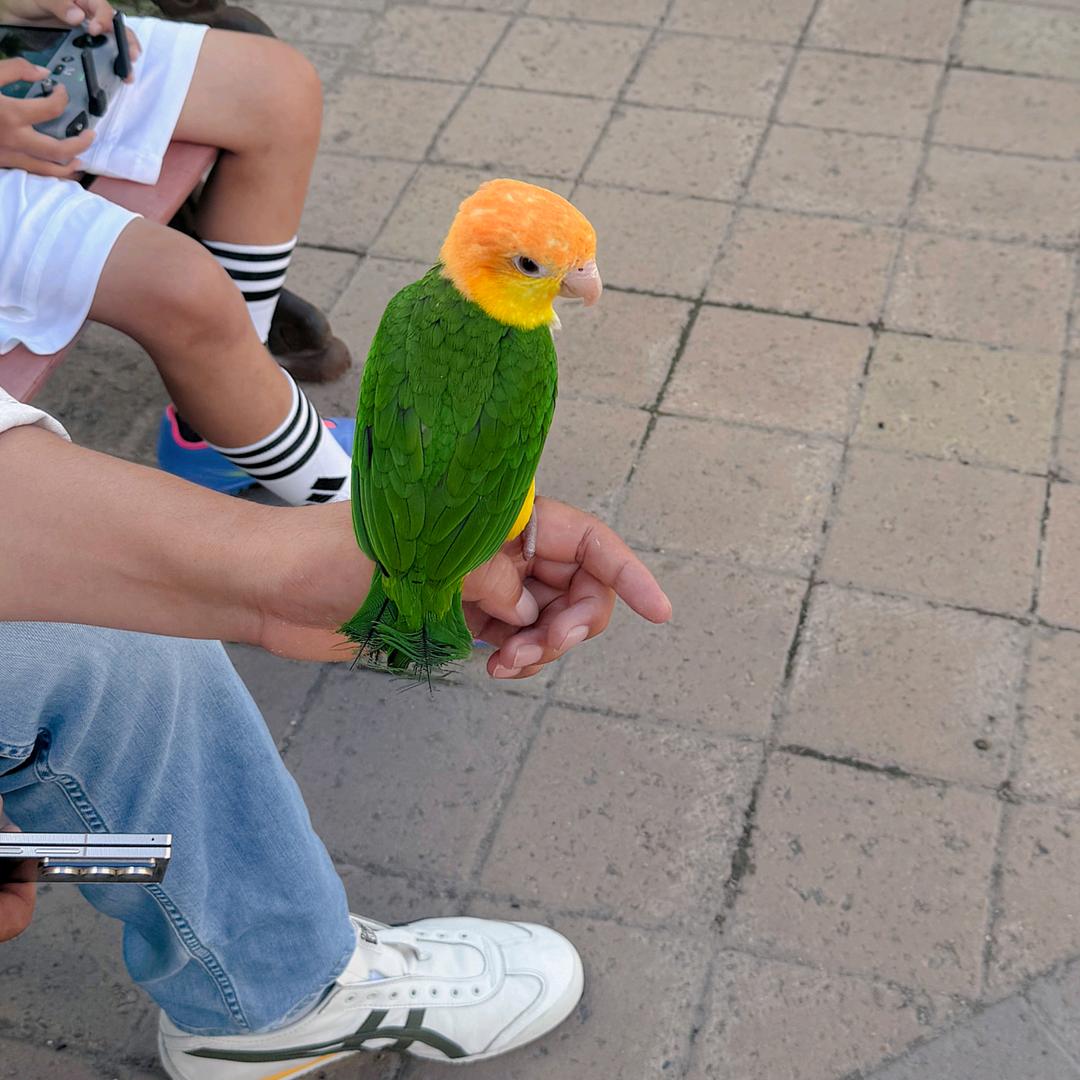 放荡不羁🍻🍻🍻