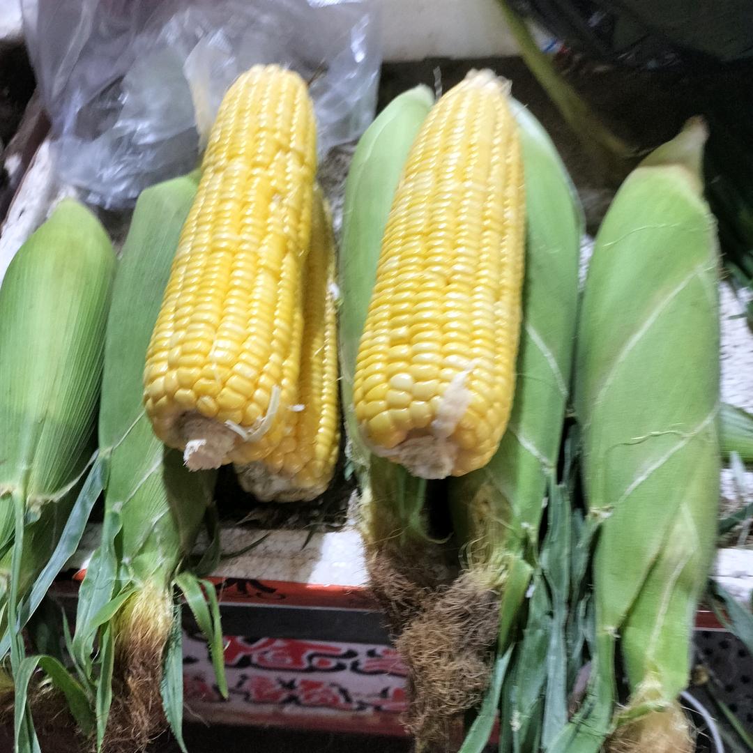 钟姐说媒（赣县媒婆）