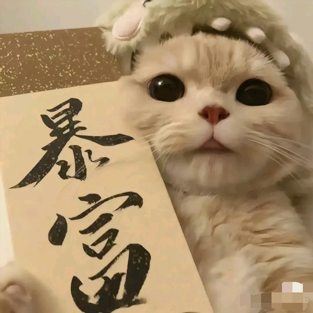 沐沐 M.