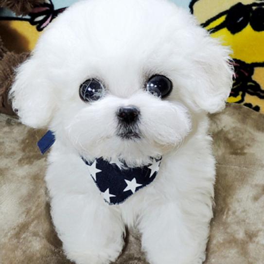 物洁美家居工厂店