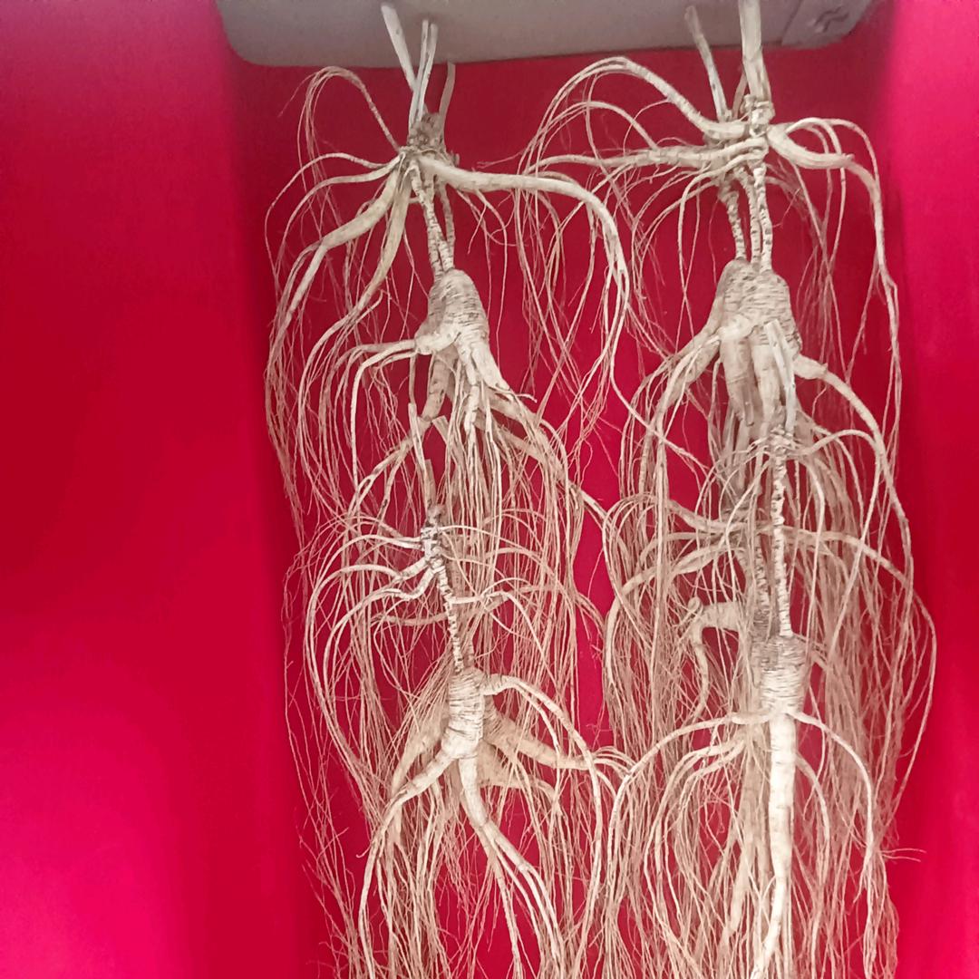 用户刚哥