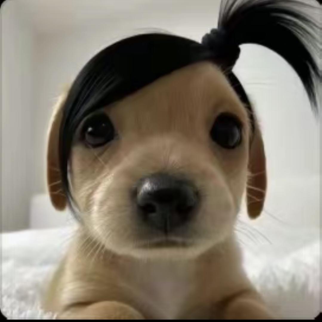 楒呆