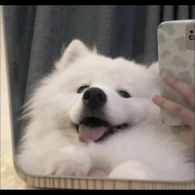 咬一口云朵