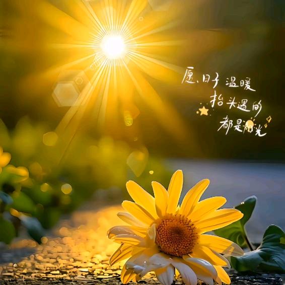 暖阳阳