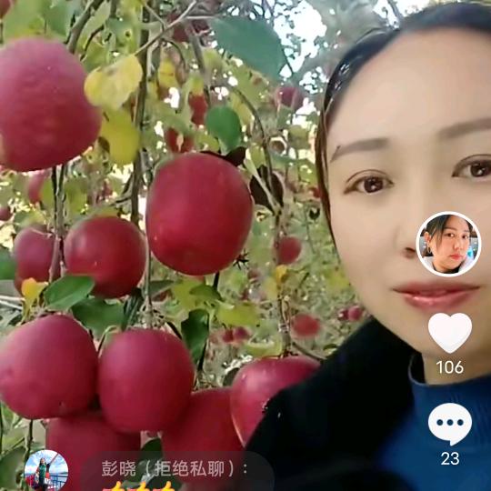 玲子用户787287835600