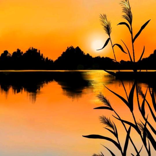 🕊ღ᭄ꦿ꯭似水年华ꦿ᭄💞🕊