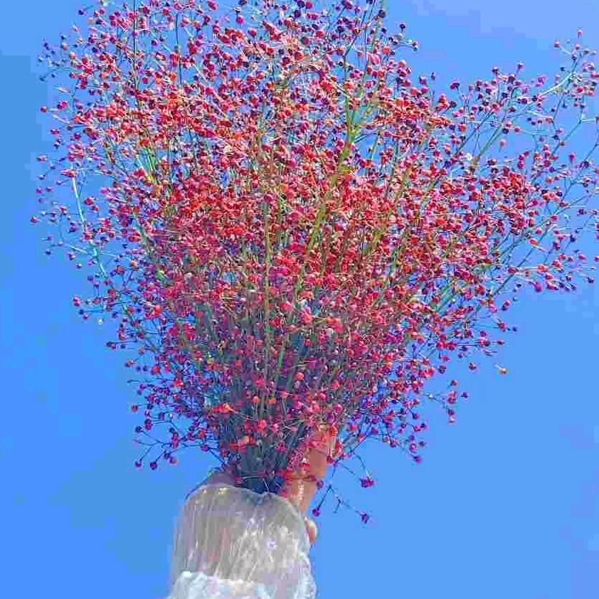 槑💞Yᴘᴀᴡʀ⁵²⁰