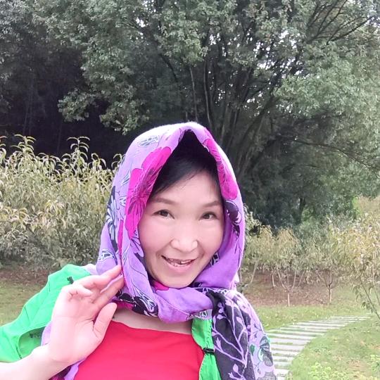 桥洞姐，早上7:48首播