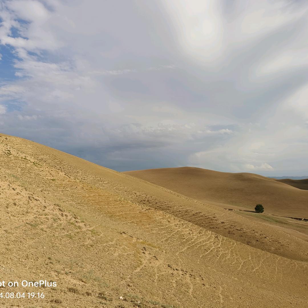 小郭姐姐！💐中午3：30