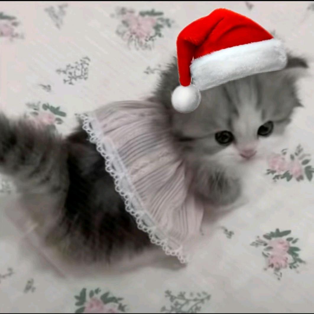 欣欣控(/≧▽≦)/~┴┴