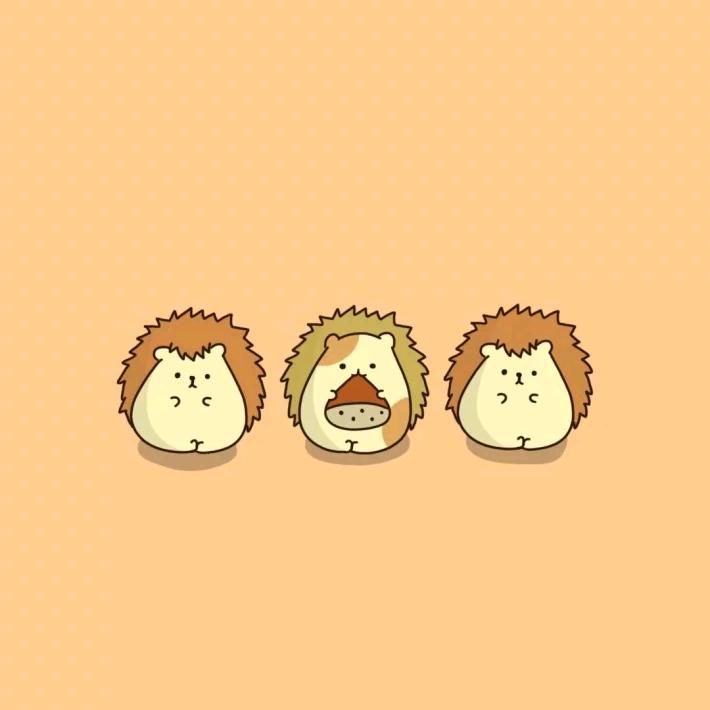 高师傅高端定制鞋