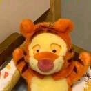 乡村小子盛未眠头像