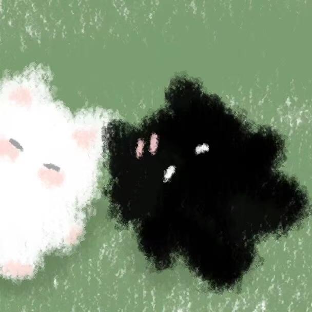小z