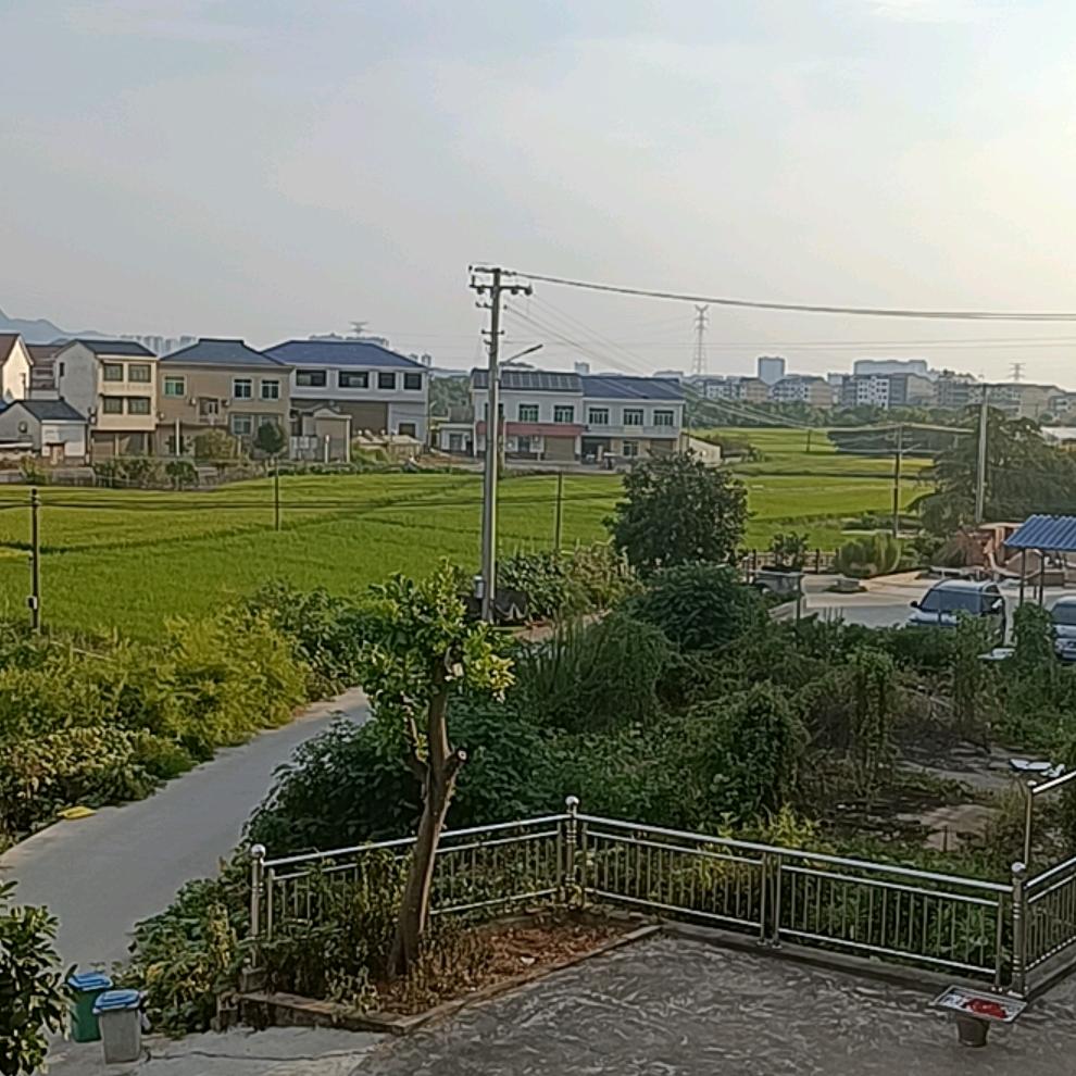 才会