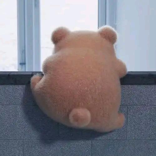 水缸追剧