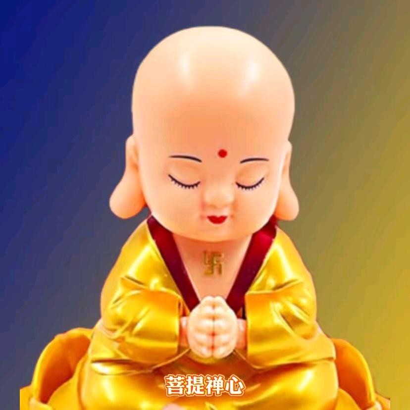 佛缘🙏🙏🙏