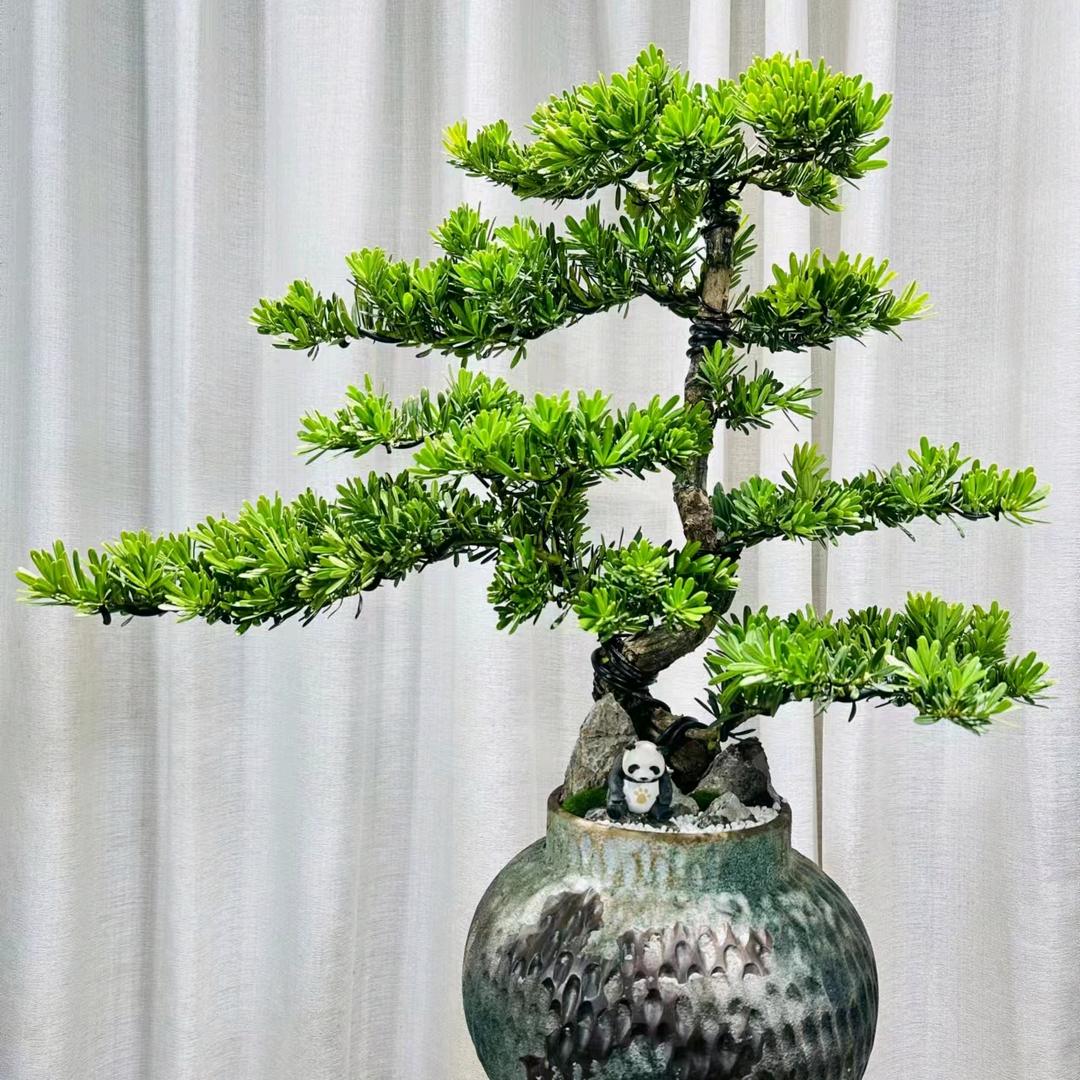顺兴隆花木