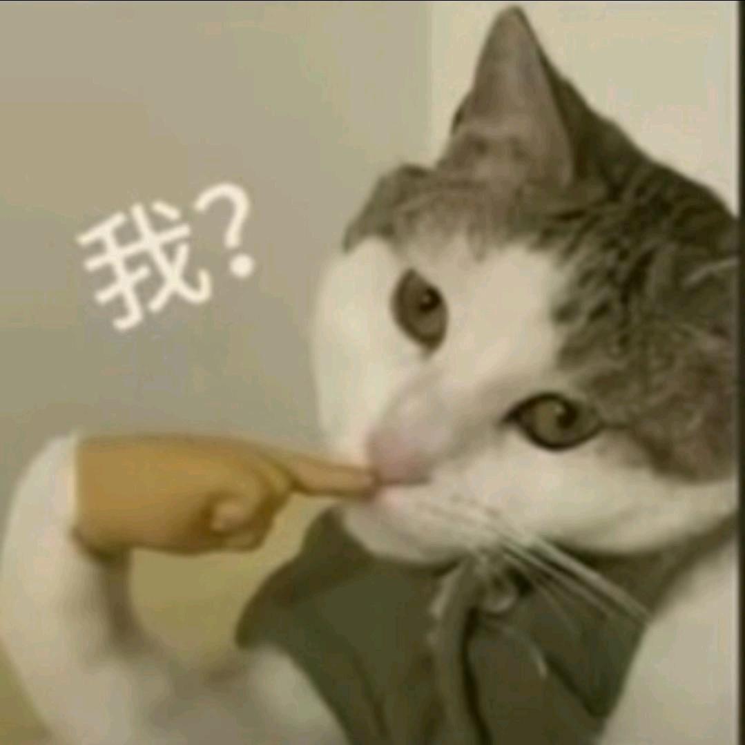 金紫