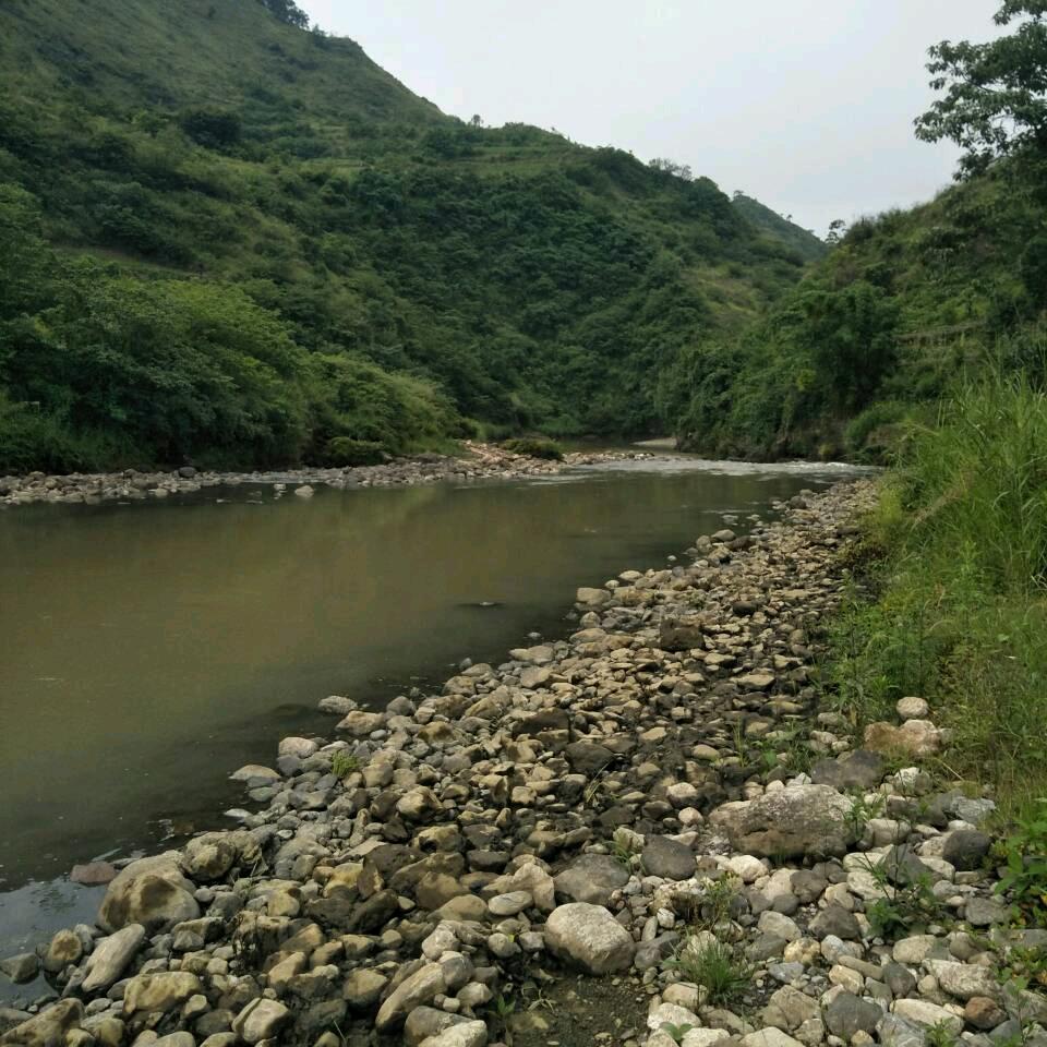 湖北小杨