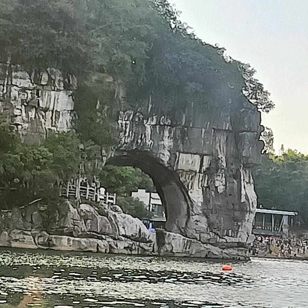 网约司机杨师傅
