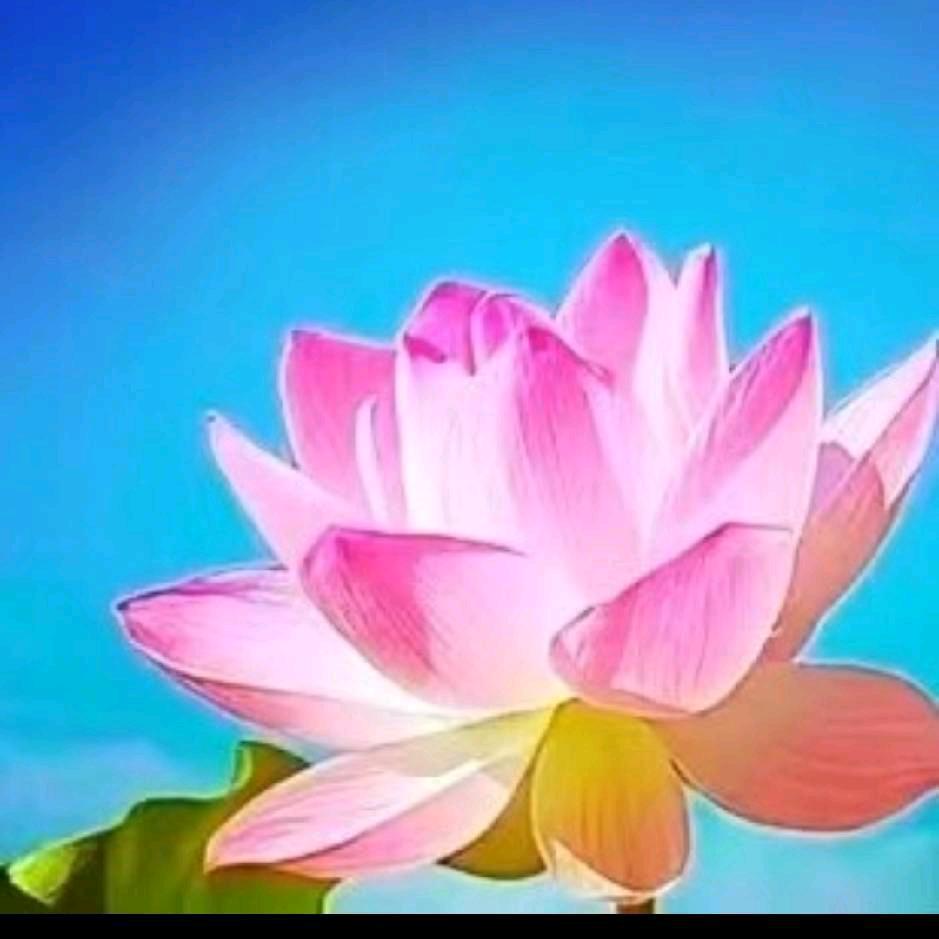缘分