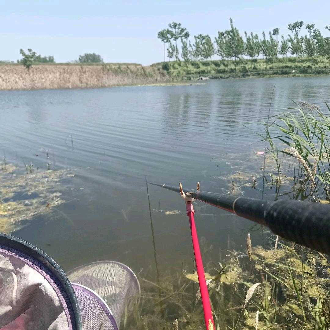 快来钓鱼喽🐟🐟