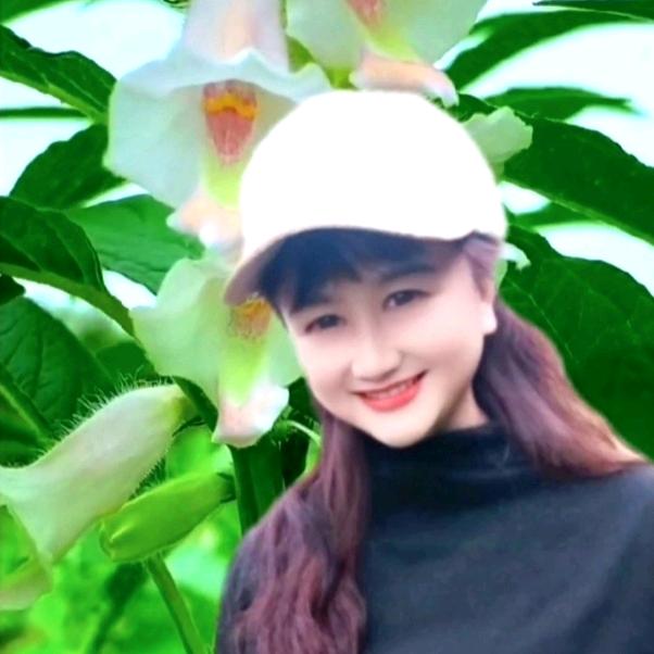 傲翔蓝天