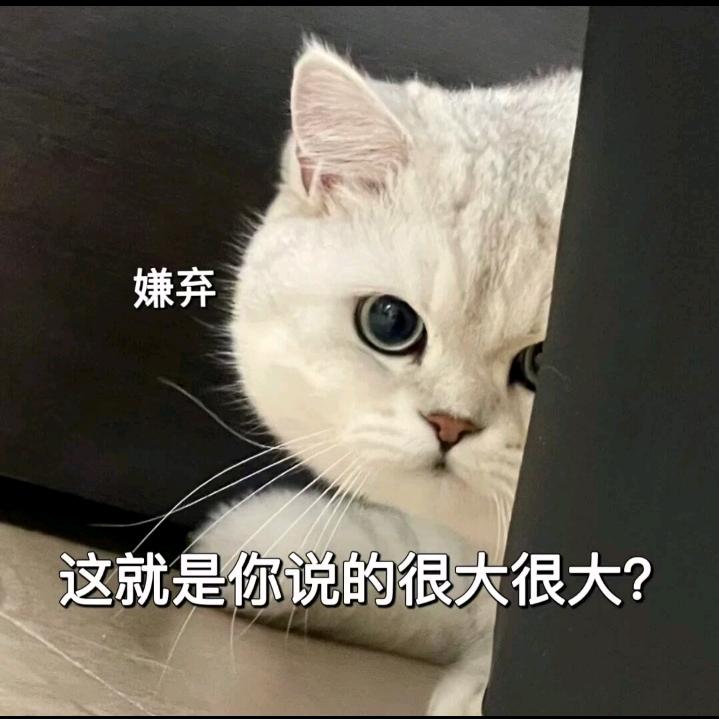 瑶瑶