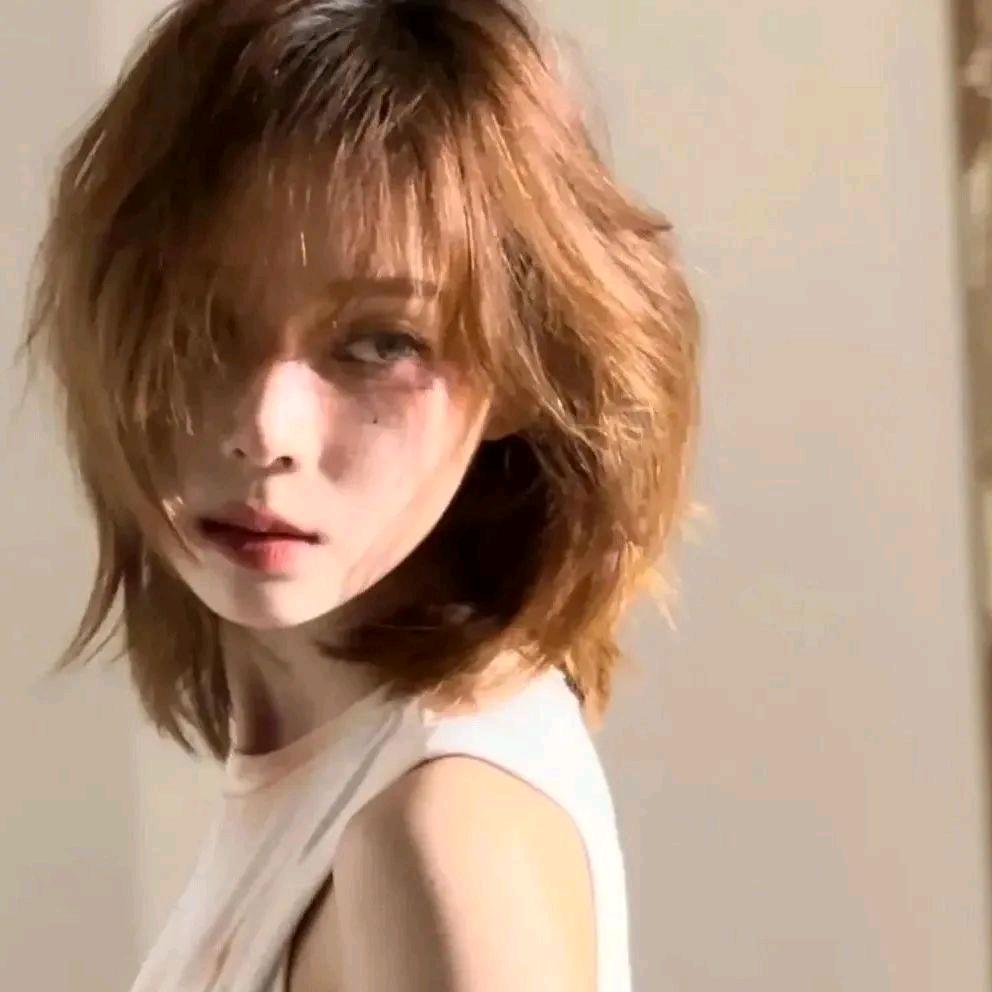 折一枝山茶花〆