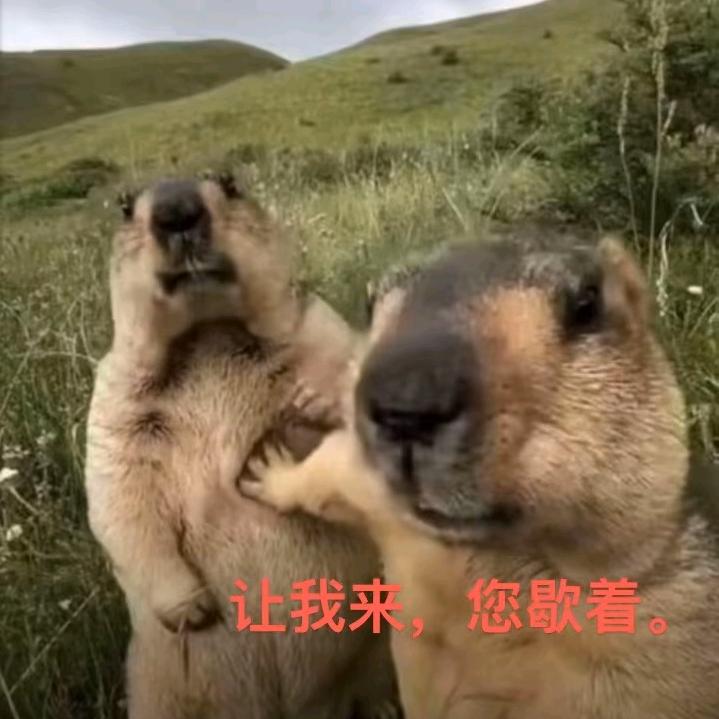 朴实无华x乐呵呵