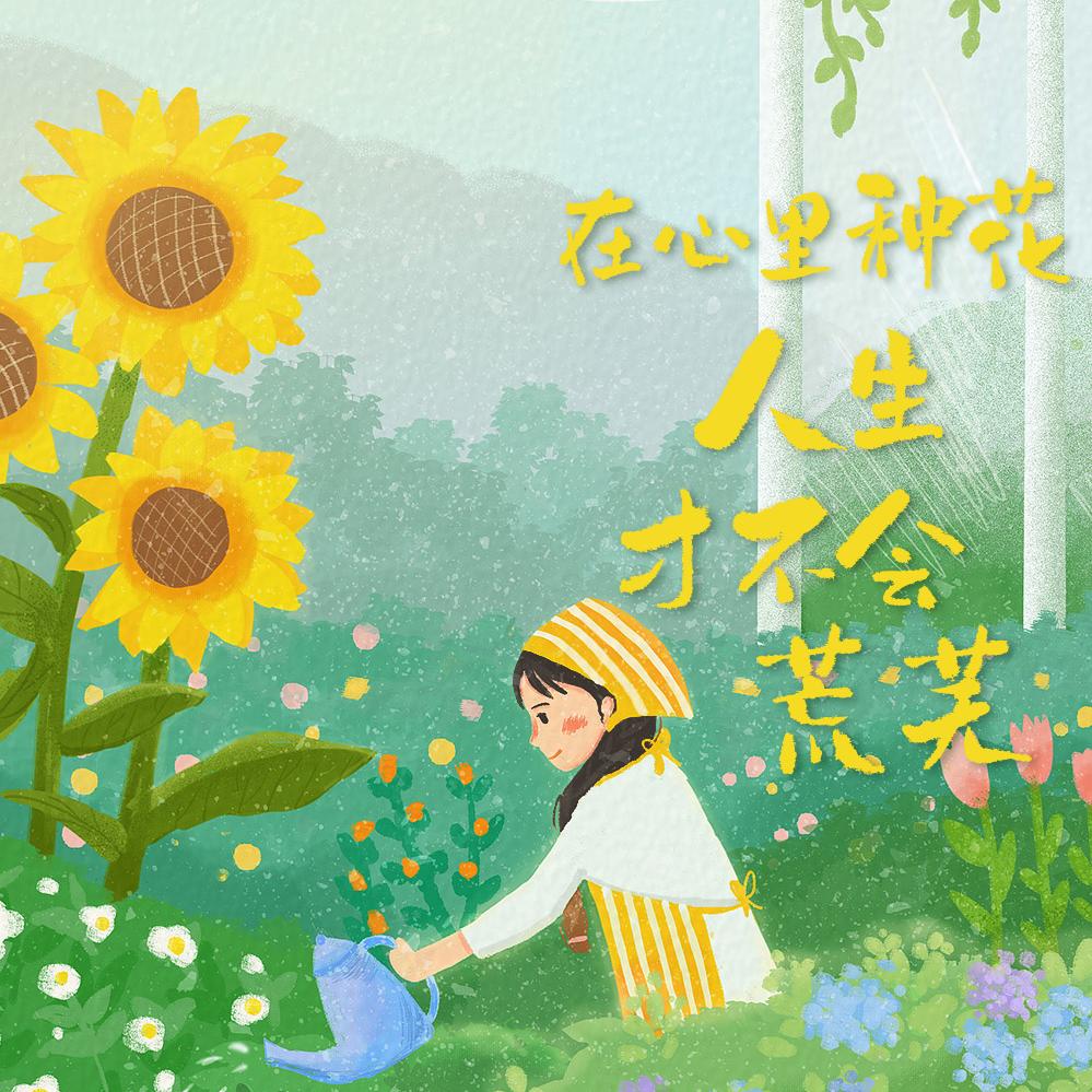 芙蓉