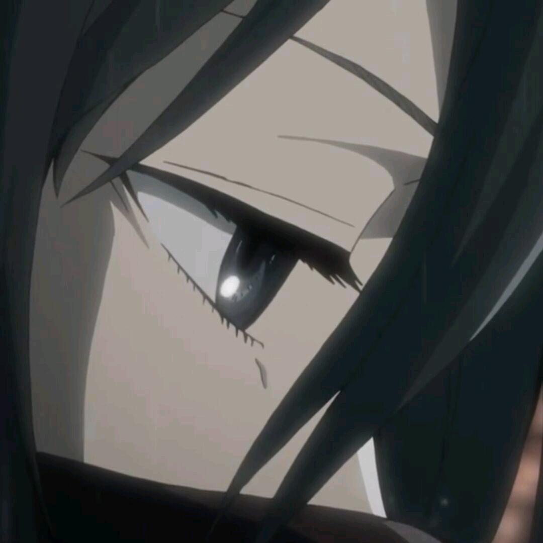 艾笠