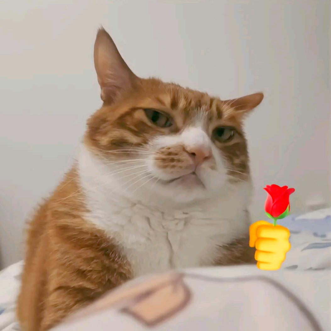 Mr.Cao