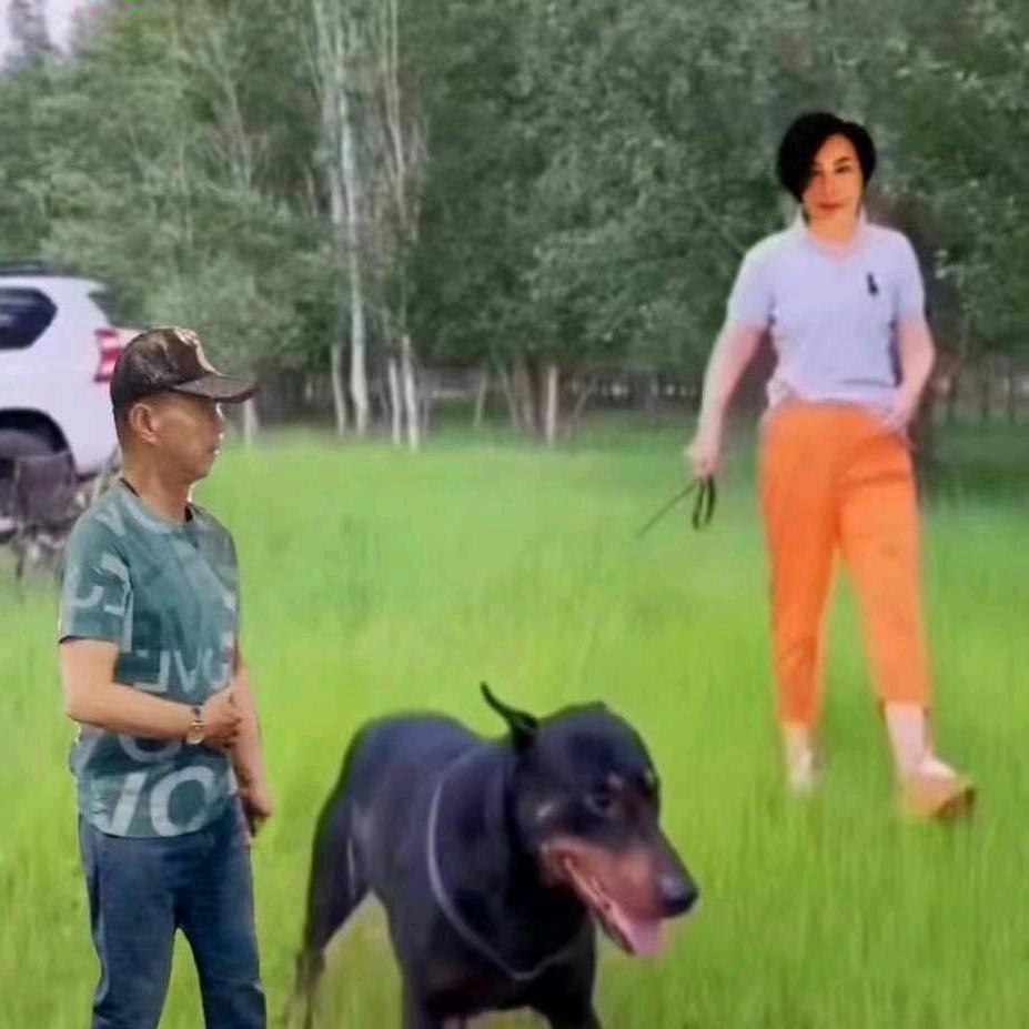 理解