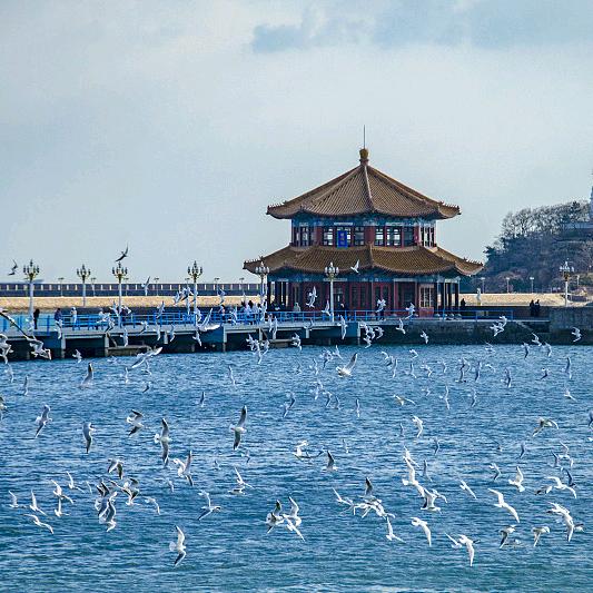 一人一狗一江湖