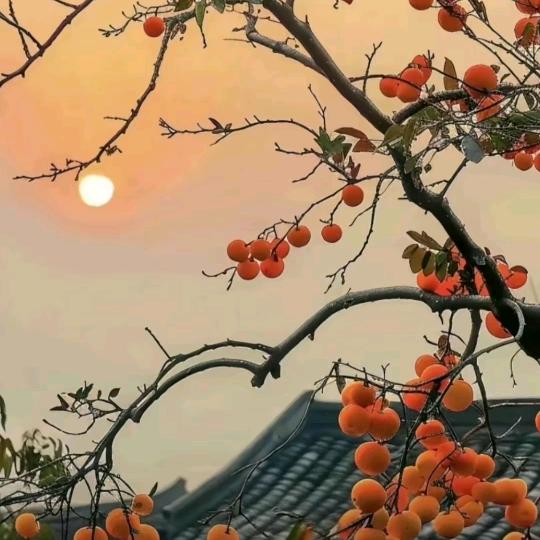 ꧁余生💕不将就꧂: ❀͜͡💓⃰²⁰